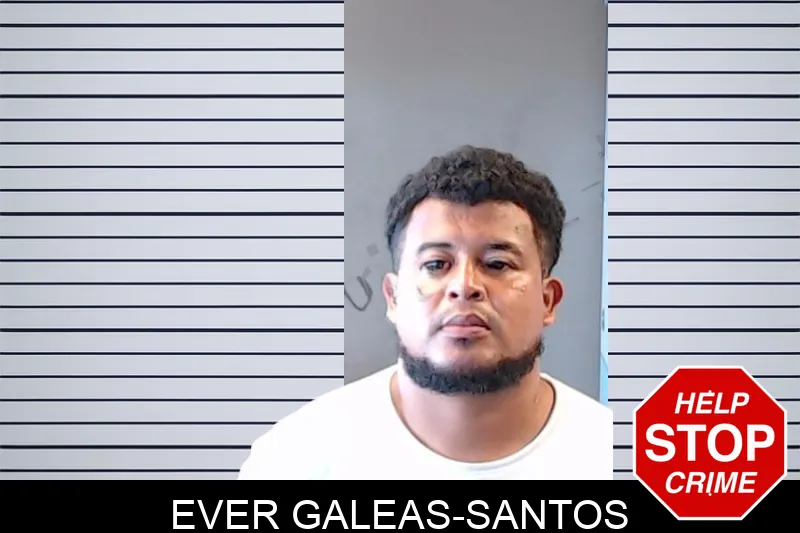 Ever Galeas-Santos mugshot