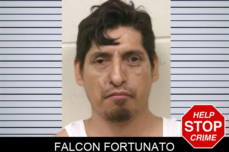 Falcon Fortunato mugshot