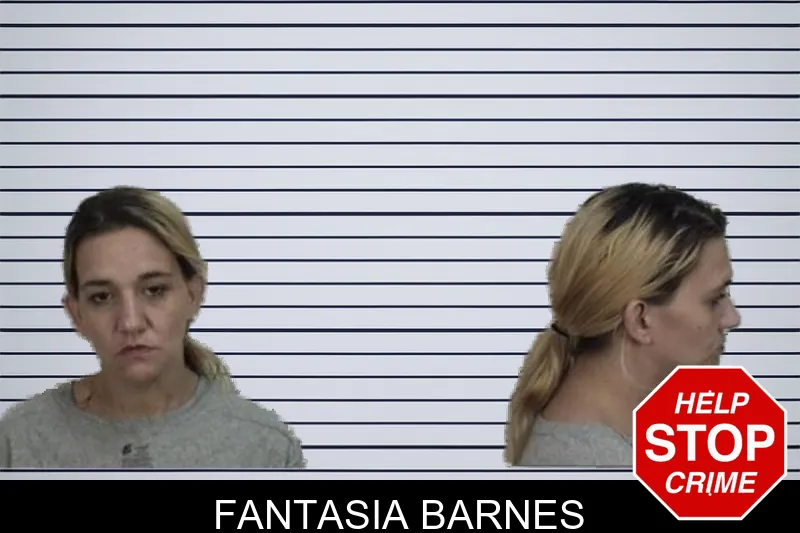 Fantasia Barnes mugshot