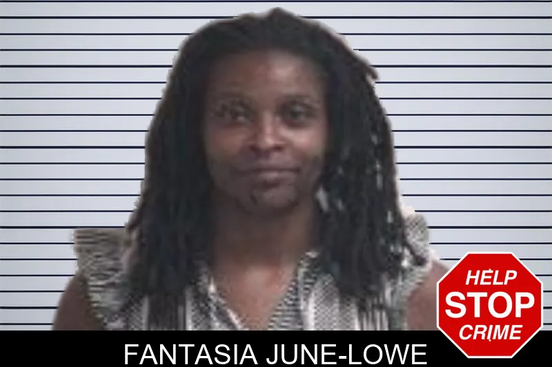 Fantasia June-Lowe mugshot