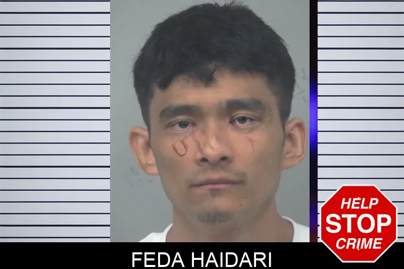 Feda Haidari mugshot