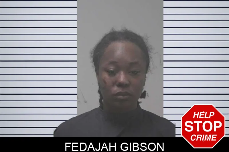 Fedajah Gibson mugshot