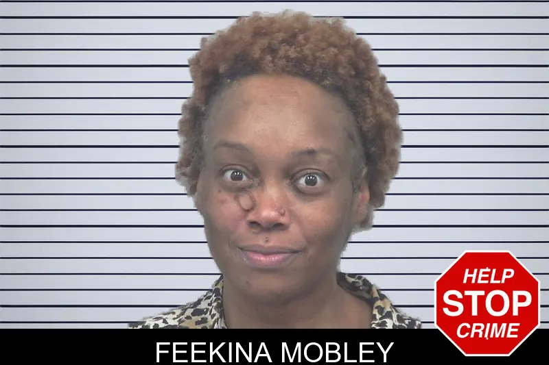 Feekina Mobley mugshot