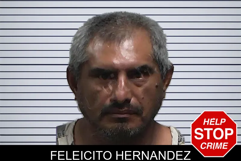 Feleicito Hernandez mugshot