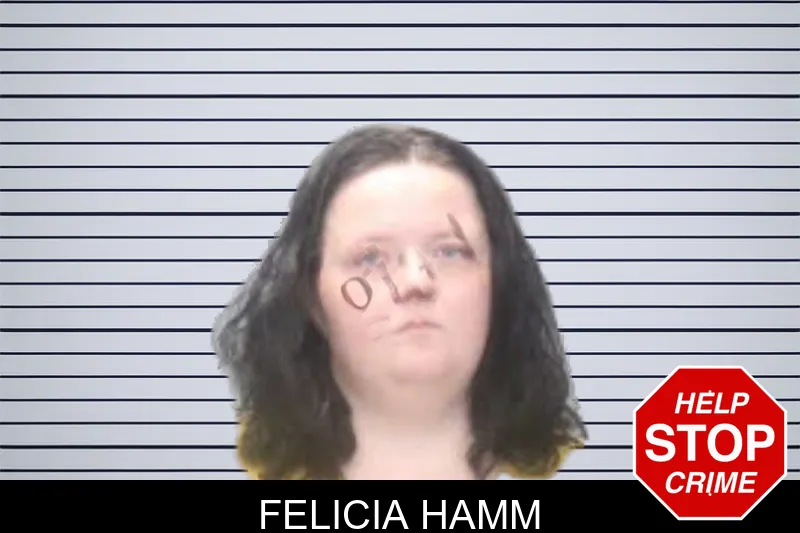 Felicia Hamm mugshot