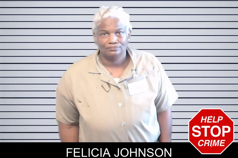 Felicia Johnson mugshot