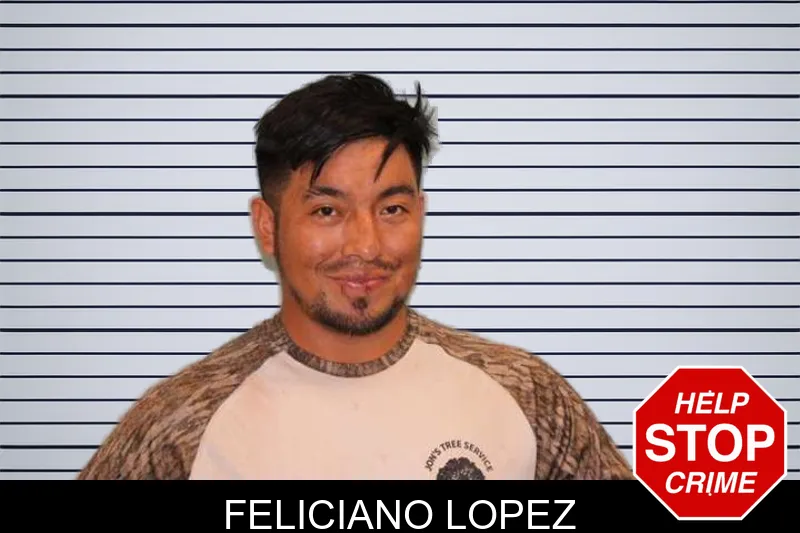 Feliciano Lopez mugshot