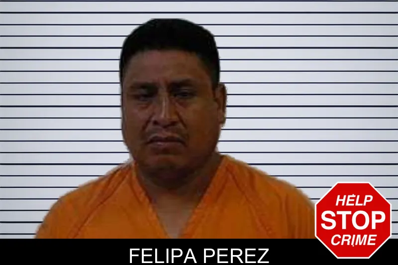 Felipa Perez mugshot