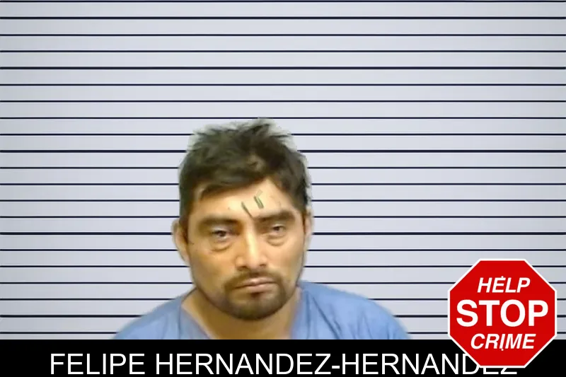 Felipe Hernandez-Hernandez mugshot