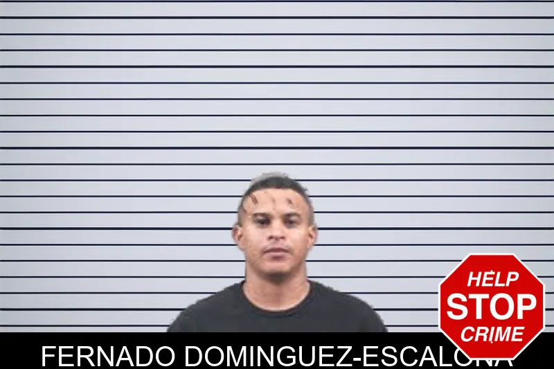 Fernado Dominguez-Escalona mugshot