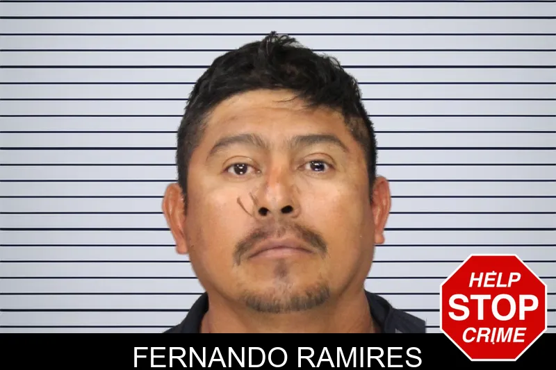 Fernando Ramires mugshot