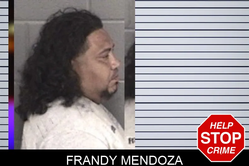 Frandy Mendoza mugshot