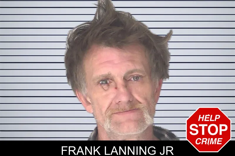 Frank Lanning Jr mugshot