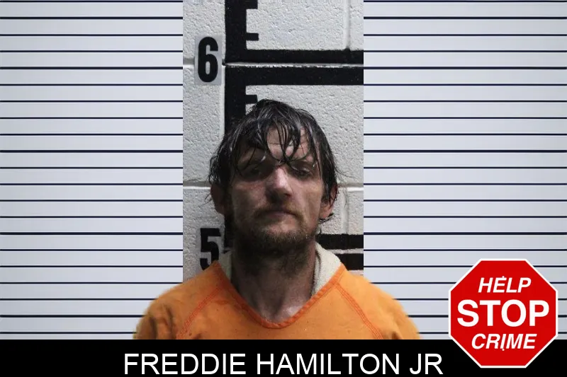 Freddie Hamilton Jr mugshot