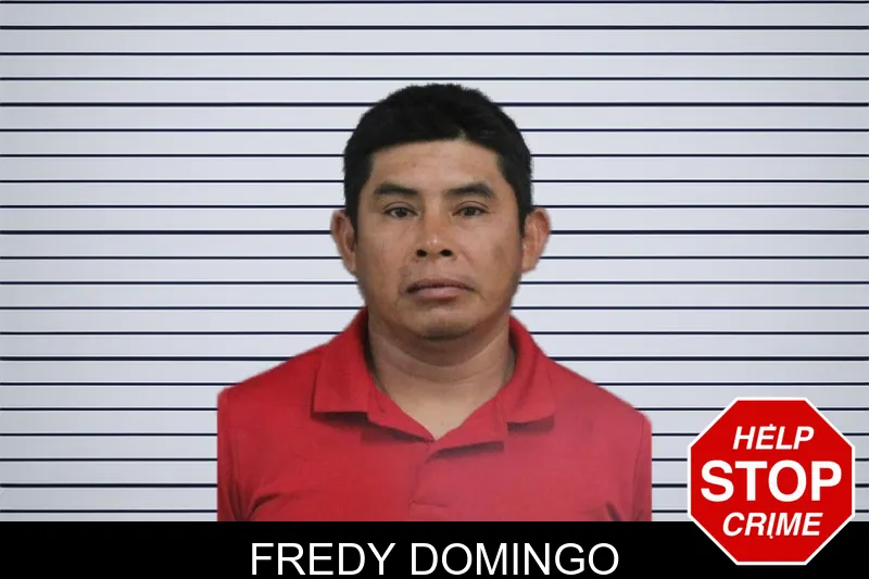 Fredy Domingo mugshot