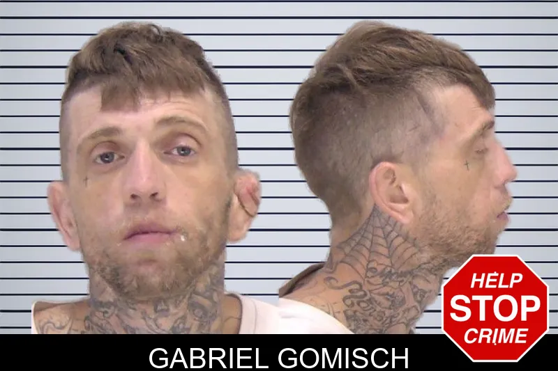 Gabriel Gomisch mugshot