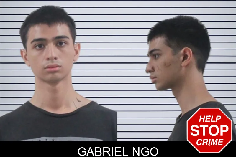 Gabriel Ngo mugshot