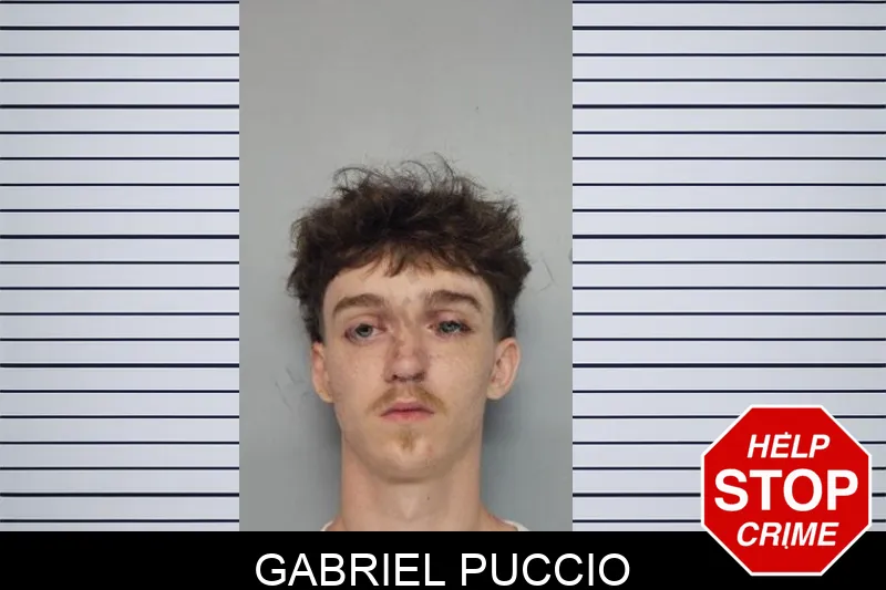 Gabriel Puccio mugshot