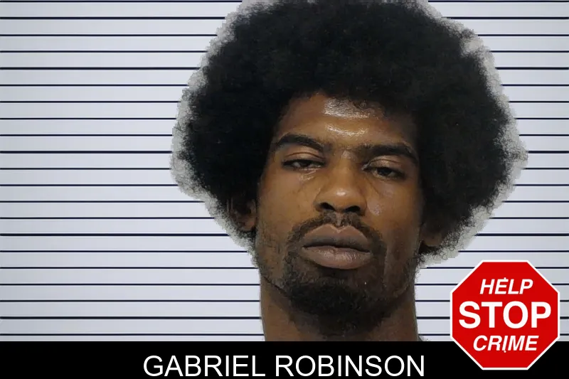 Gabriel Robinson mugshot