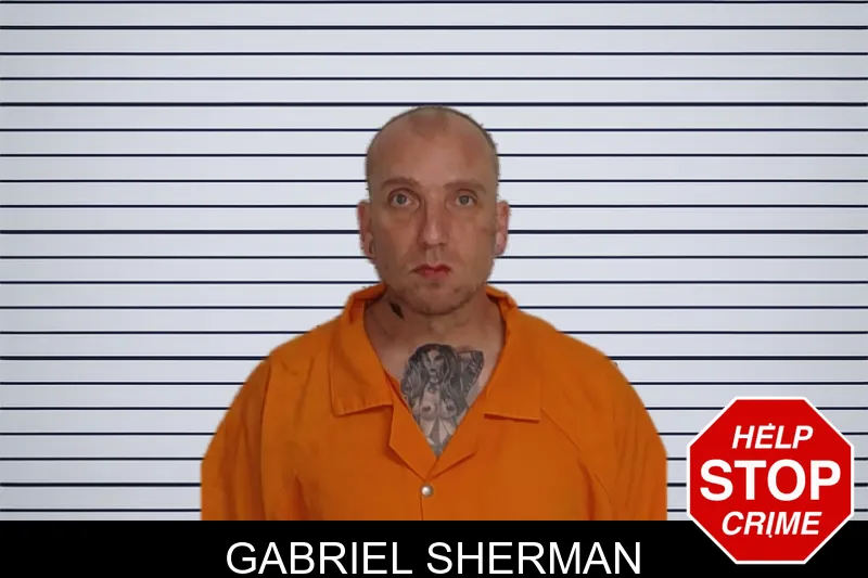Gabriel Sherman mugshot