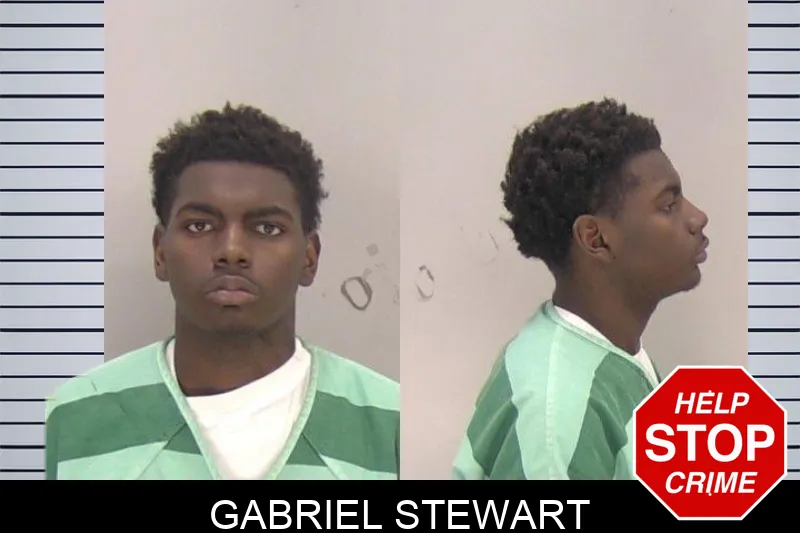 Gabriel Stewart mugshot