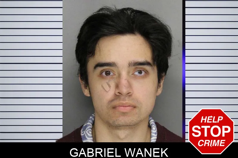 Gabriel Wanek mugshot