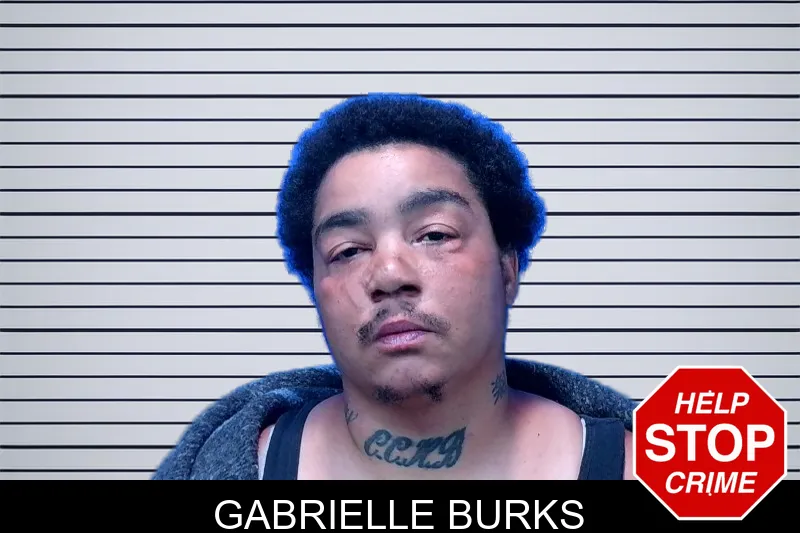 Gabrielle Burks mugshot