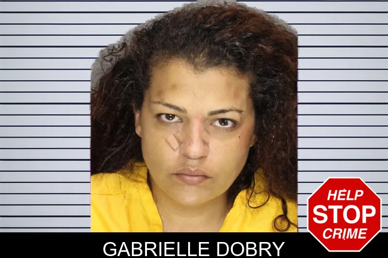 Gabrielle Dobry mugshot – Cobb County , Georgia Gabrielle Dobry mugshot