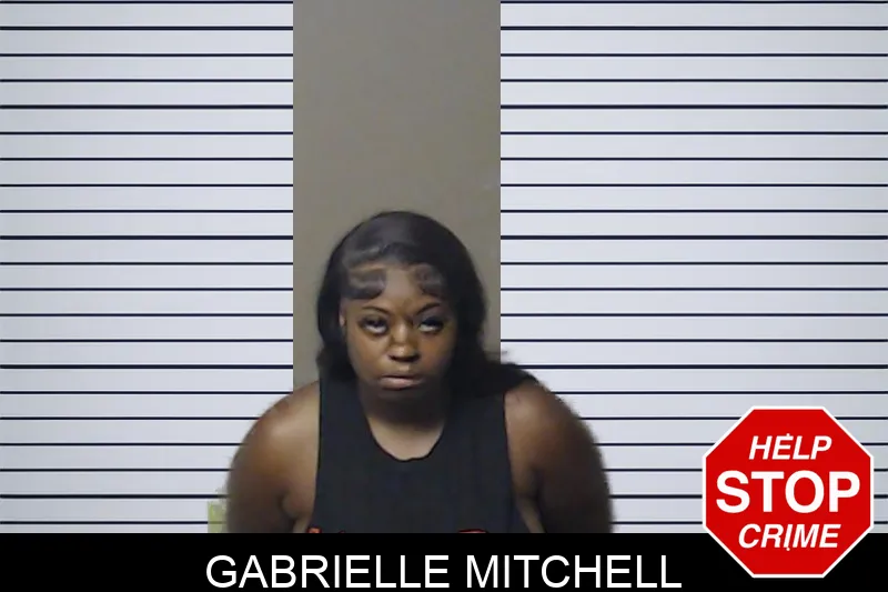 Gabrielle Mitchell mugshot