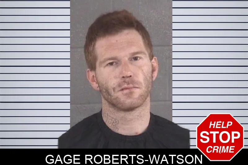 Gage Roberts-Watson mugshot
