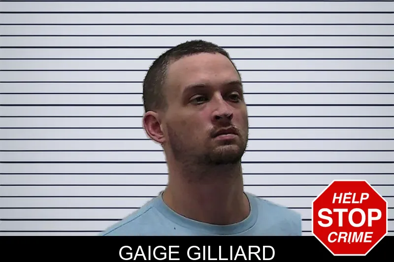 Gaige Gilliard mugshot