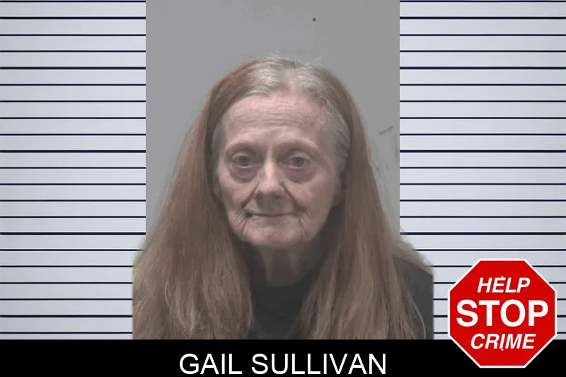 Gail Sullivan mugshot
