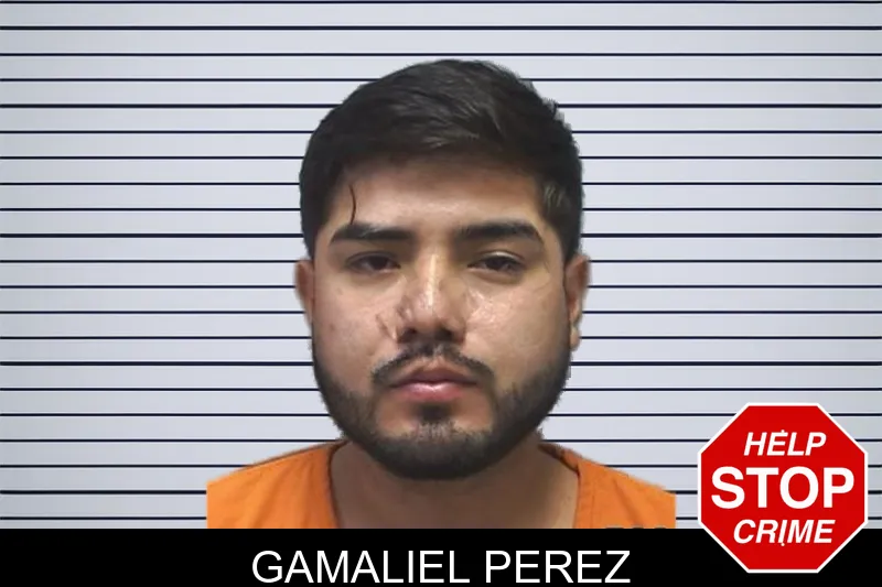 Gamaliel Perez mugshot