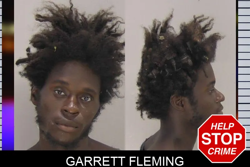 Garrett Fleming mugshot