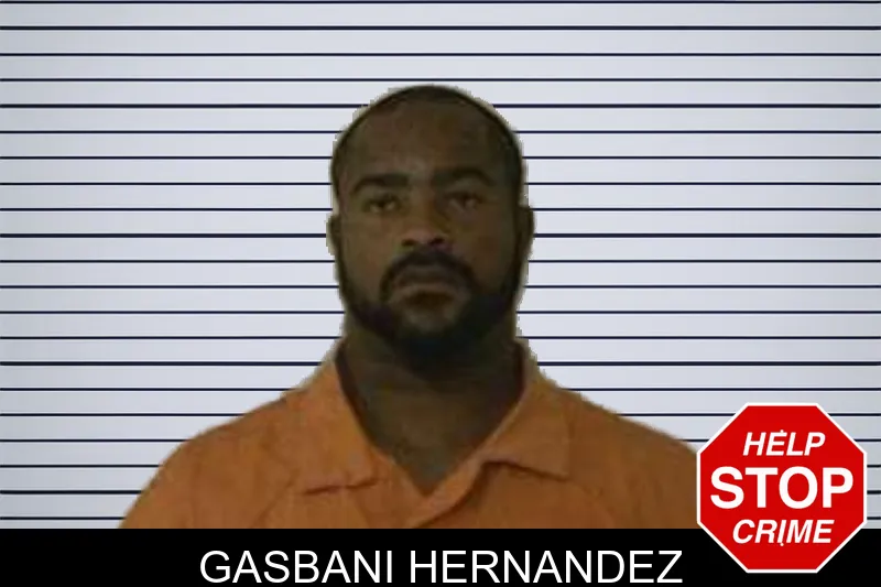 Gasbani Hernandez mugshot