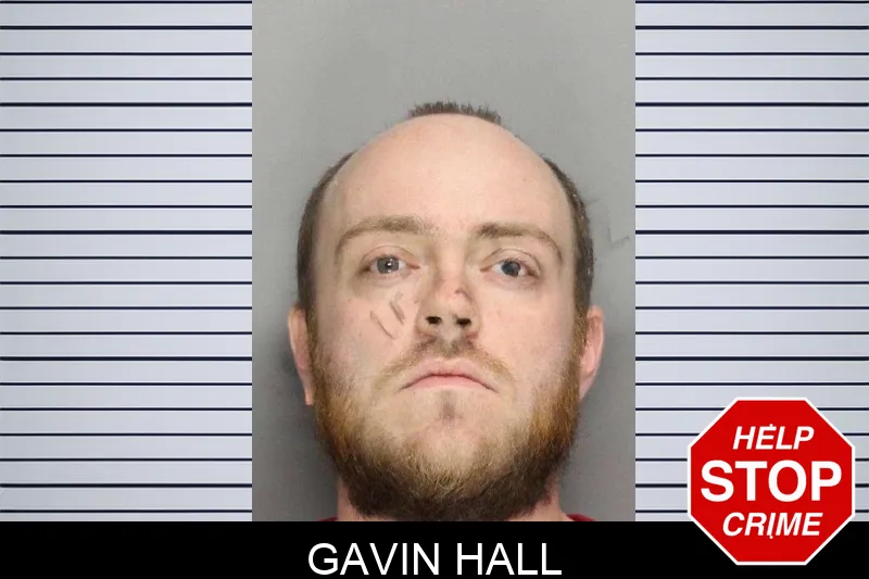 Gavin Hall mugshot