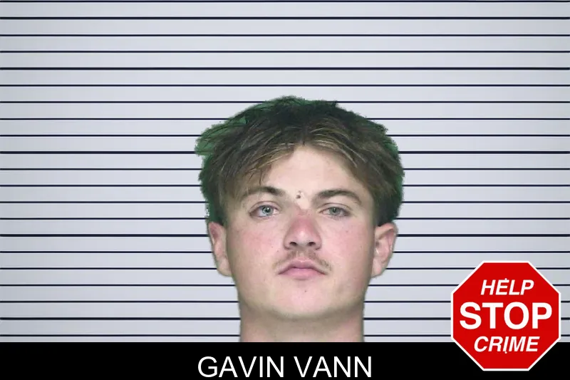 Gavin Vann mugshot