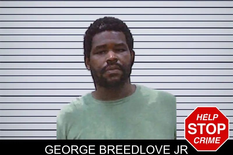 George Breedlove Jr mugshot