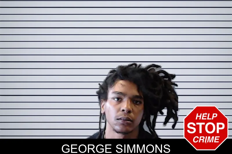 George Simmons mugshot