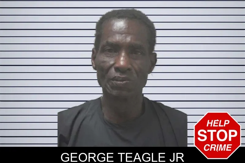 George Teagle Jr mugshot
