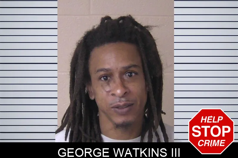 George Watkins III mugshot