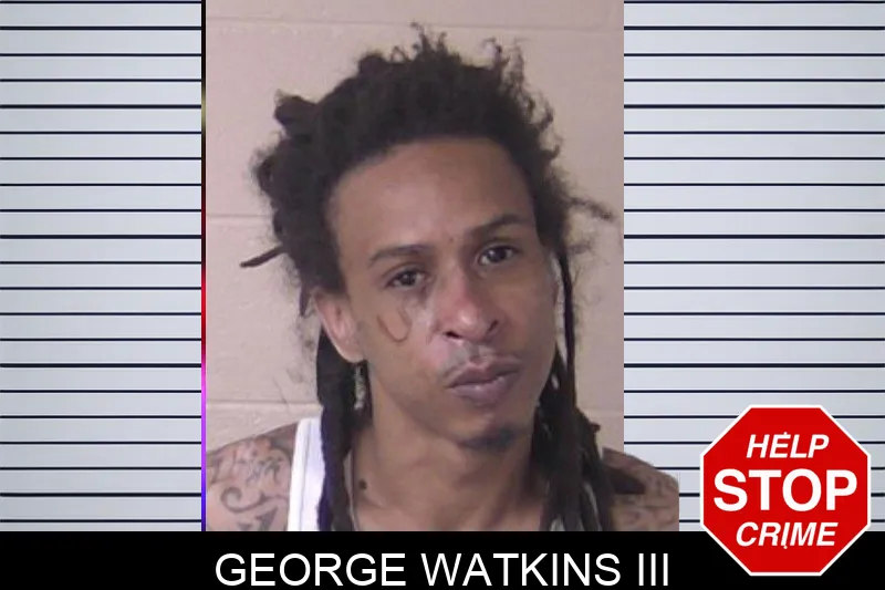 George Watkins III mugshot