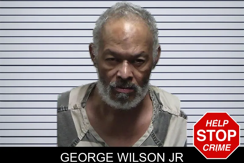 George Wilson Jr mugshot
