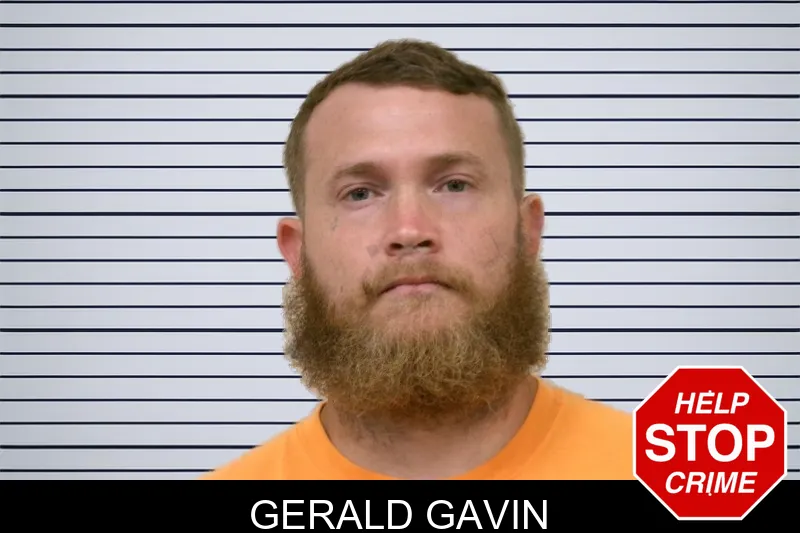 Gerald Gavin mugshot