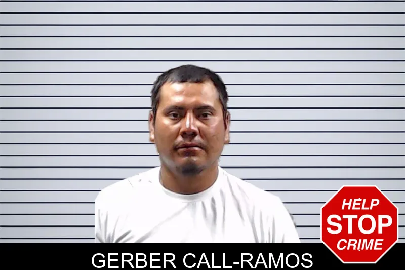Gerber Call-Ramos mugshot