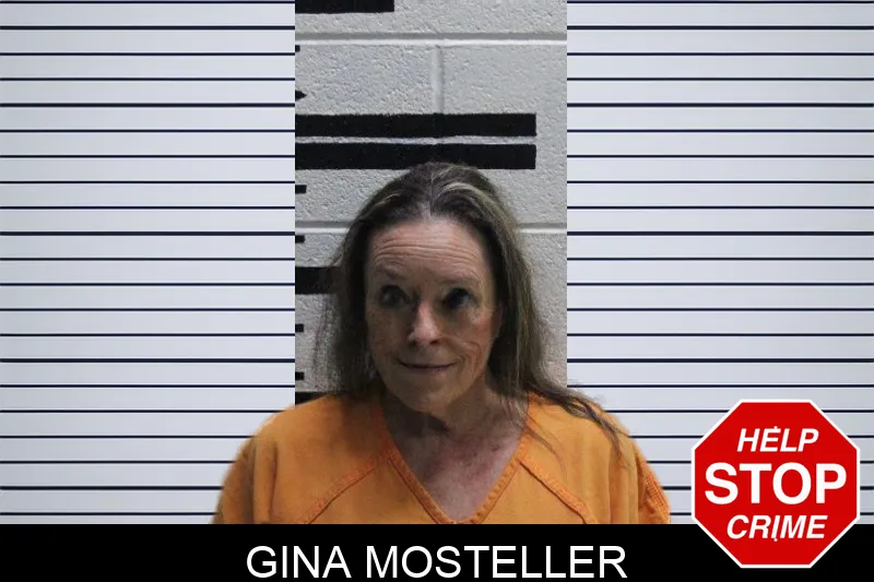 Gina Mosteller mugshot