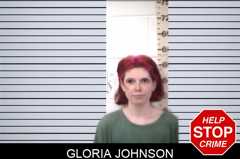 Gloria Johnson mugshot