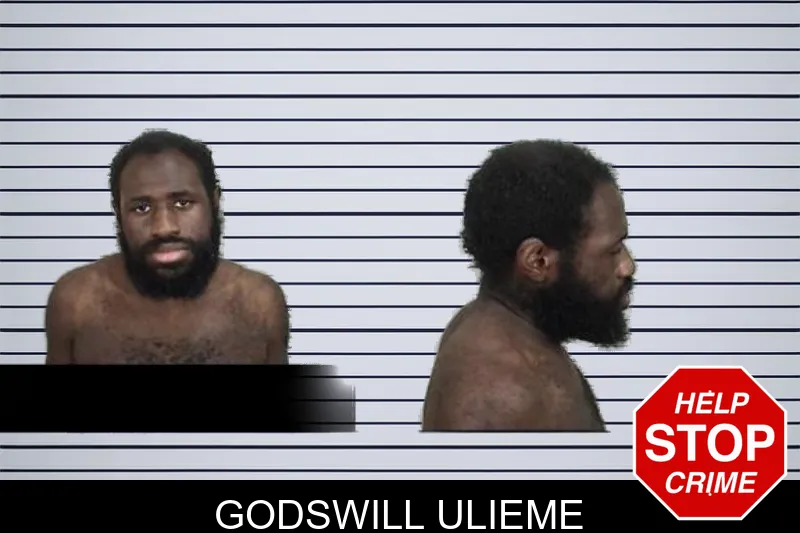 Godswill Ulieme mugshot