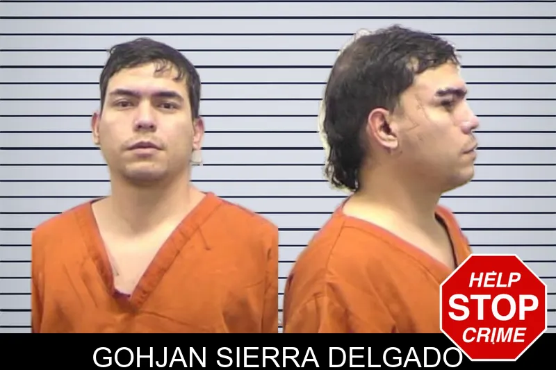 Gohjan Sierra Delgado mugshot