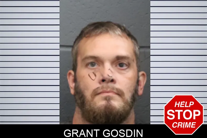 Grant Gosdin mugshot